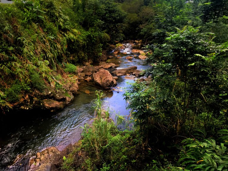 Iao Valley, Maui, Hawaii