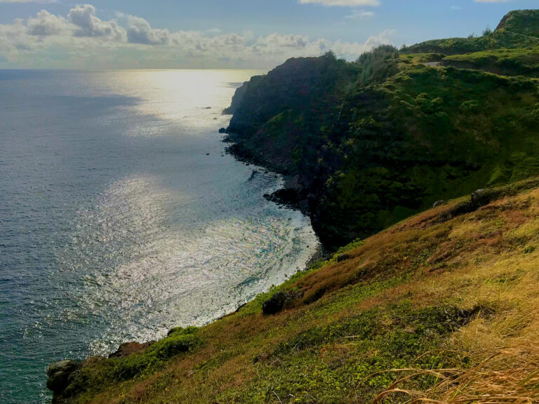 Road to Hana view