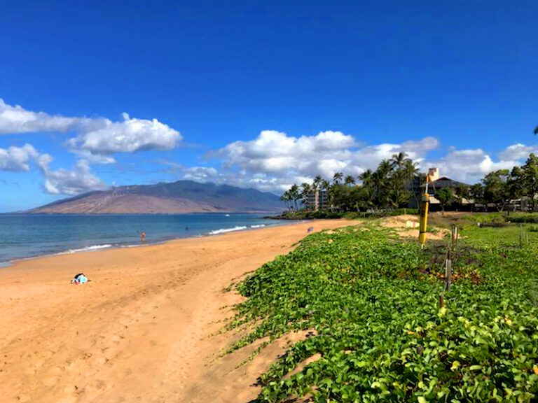 Kamaole Beach Park II