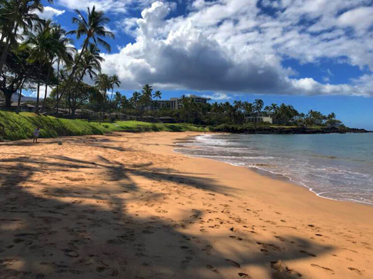 Ulua Beach Park