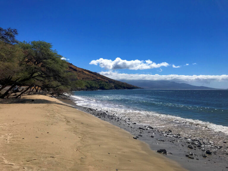 Pāpalaua Wayside Park