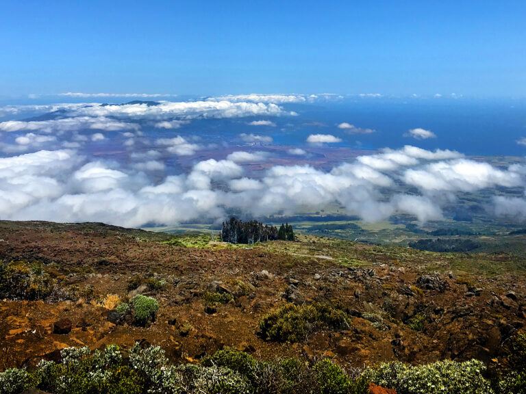 Upcountry Maui Tour